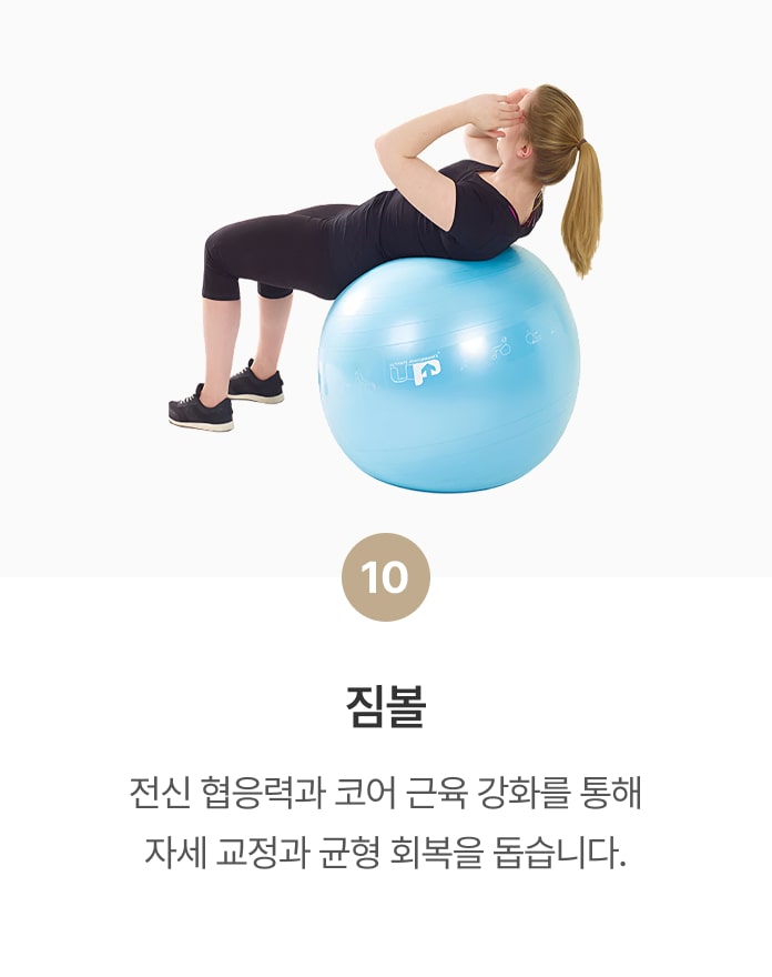 짐볼