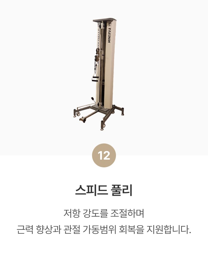 스피드 풀리