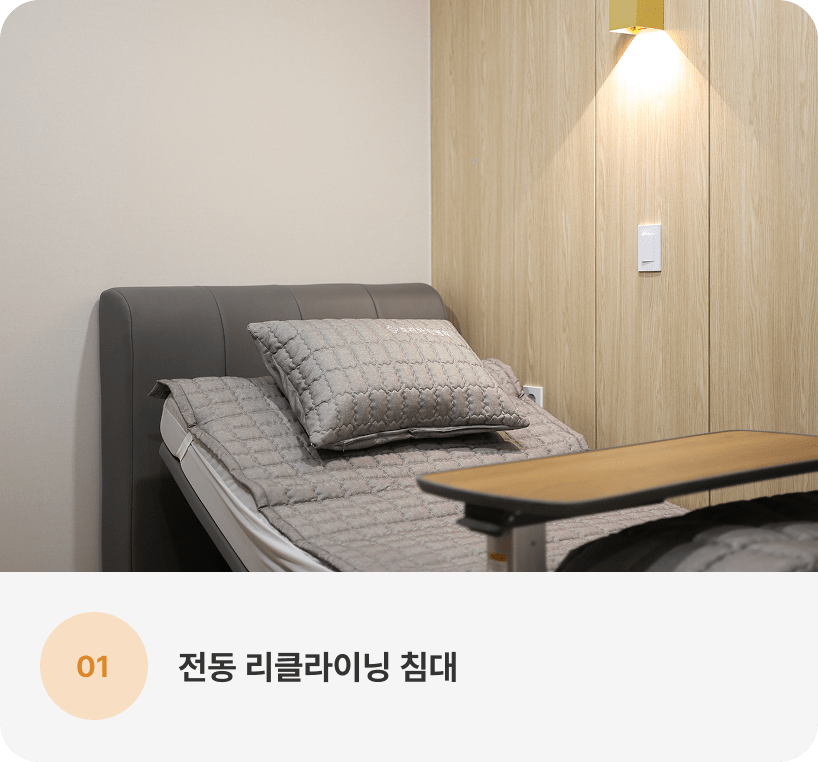 전동 리클라이닝 침대